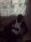 bigboy
