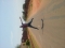 i wanna fly like an eagle