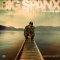 BIG SPANX