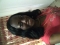 just me