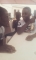 teetruce