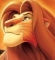 lion of Africa