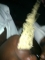 Indomie noodle