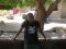 djanka