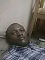 Jst me