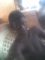 Datz mi