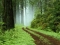 its green