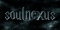 SoulNexus