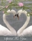 unity