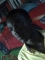 A great man of God is here