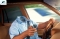 Use Your Head When You Drive!