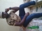 just noley
