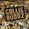 Collie Budz.