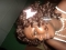 Jst mee