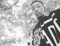 Xc kroner#yungsuccess