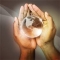 My life is in His hands