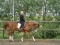 Djidim My Horse and Me