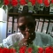 hi friend gust what is realy happening over your geographical area