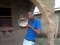 swt tyns