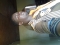prettyboy