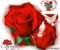 any