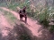 Boko haram go hear gbosa