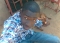 Me MySelf