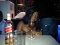 @ d club