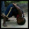 Fitness of life