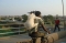 love of nature