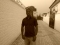 Am friendly and easy going........