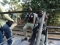 NYSC na wa o