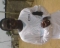 cool guy