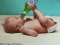 i started drinking from small