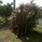 going to church