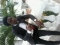 reallist