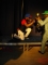 ZICOMAN 9JA in action during live show in Amsterdam Netherlands