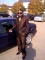 First sunday of the year 2011..!!!God is great