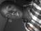 Just Me
