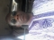 Just me