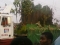Calabar carnival depicting forest life