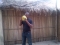 drinking coconut