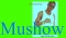 mushow