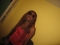 IT`S ME