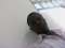 naGod be everytin in dis life.
