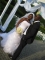 MY cousin`s wedding