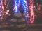 LIFE IN CALABAR