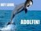 hahaha,hey look ADOLPHIN