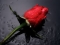 d rosy