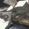 Am talking money u talking nonsense